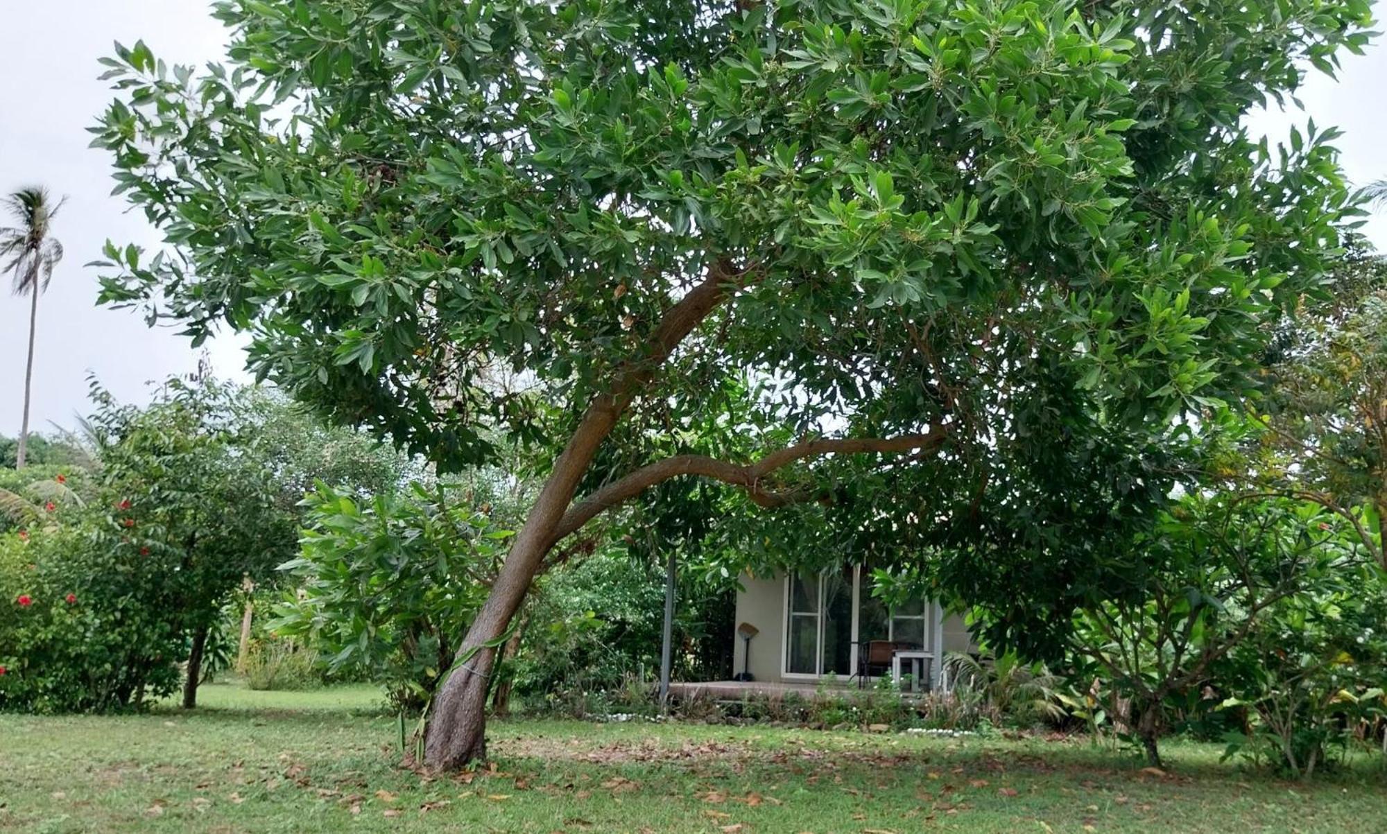 Naivacha Tent 麦岛 外观 照片