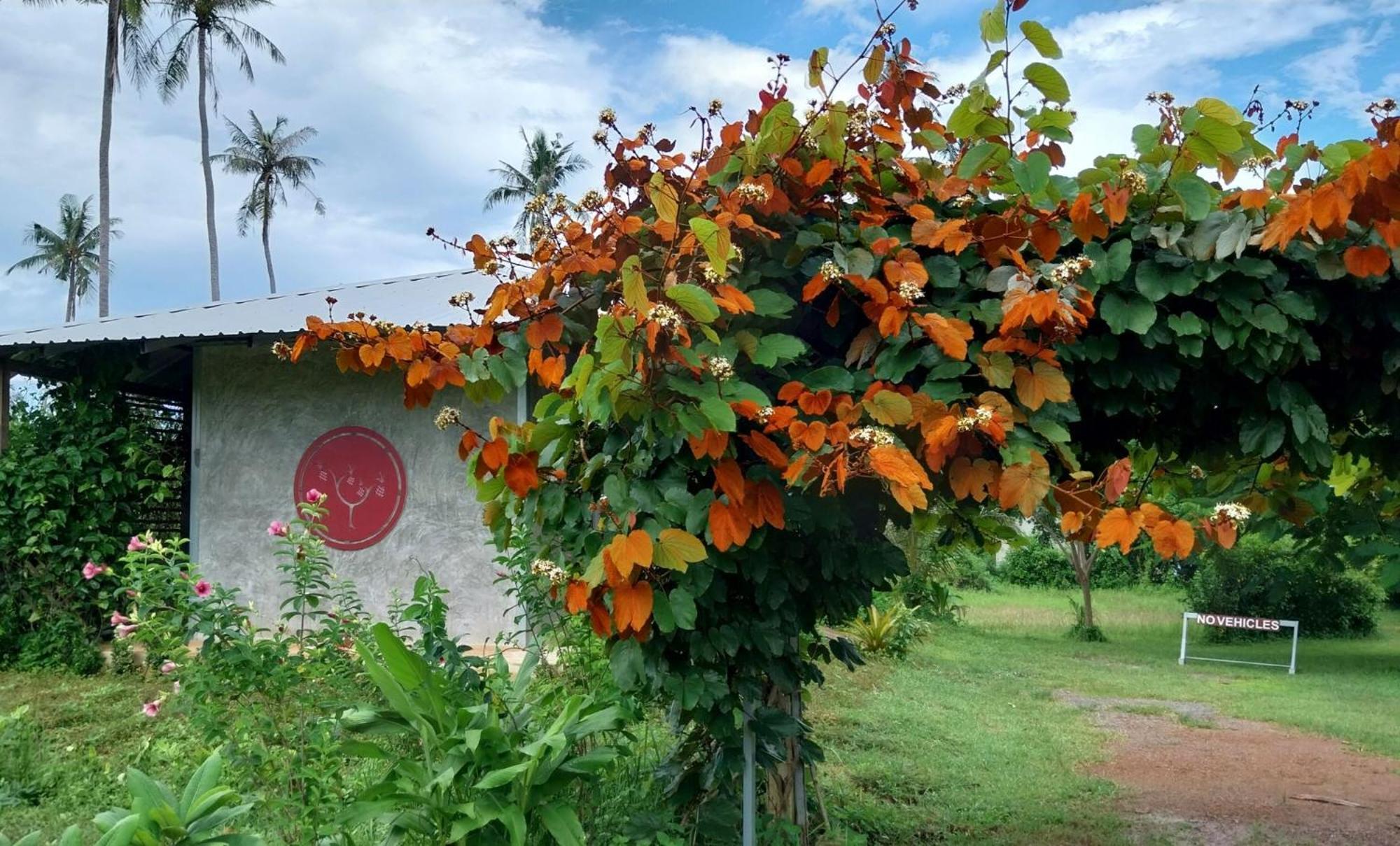 Naivacha Tent 麦岛 外观 照片