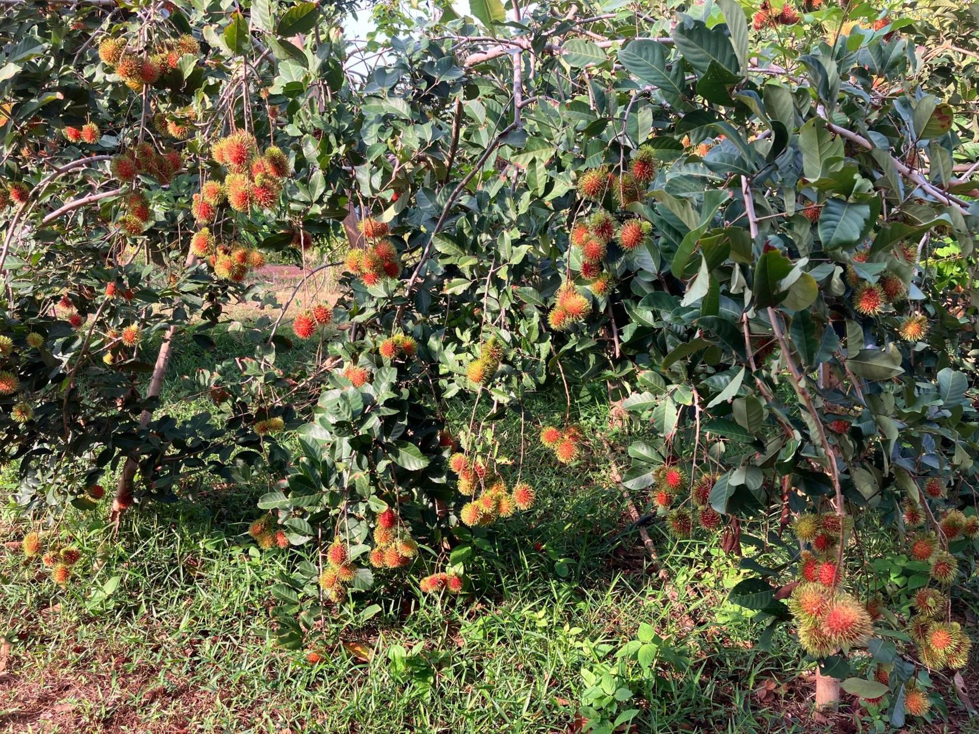 Naivacha Tent 麦岛 外观 照片