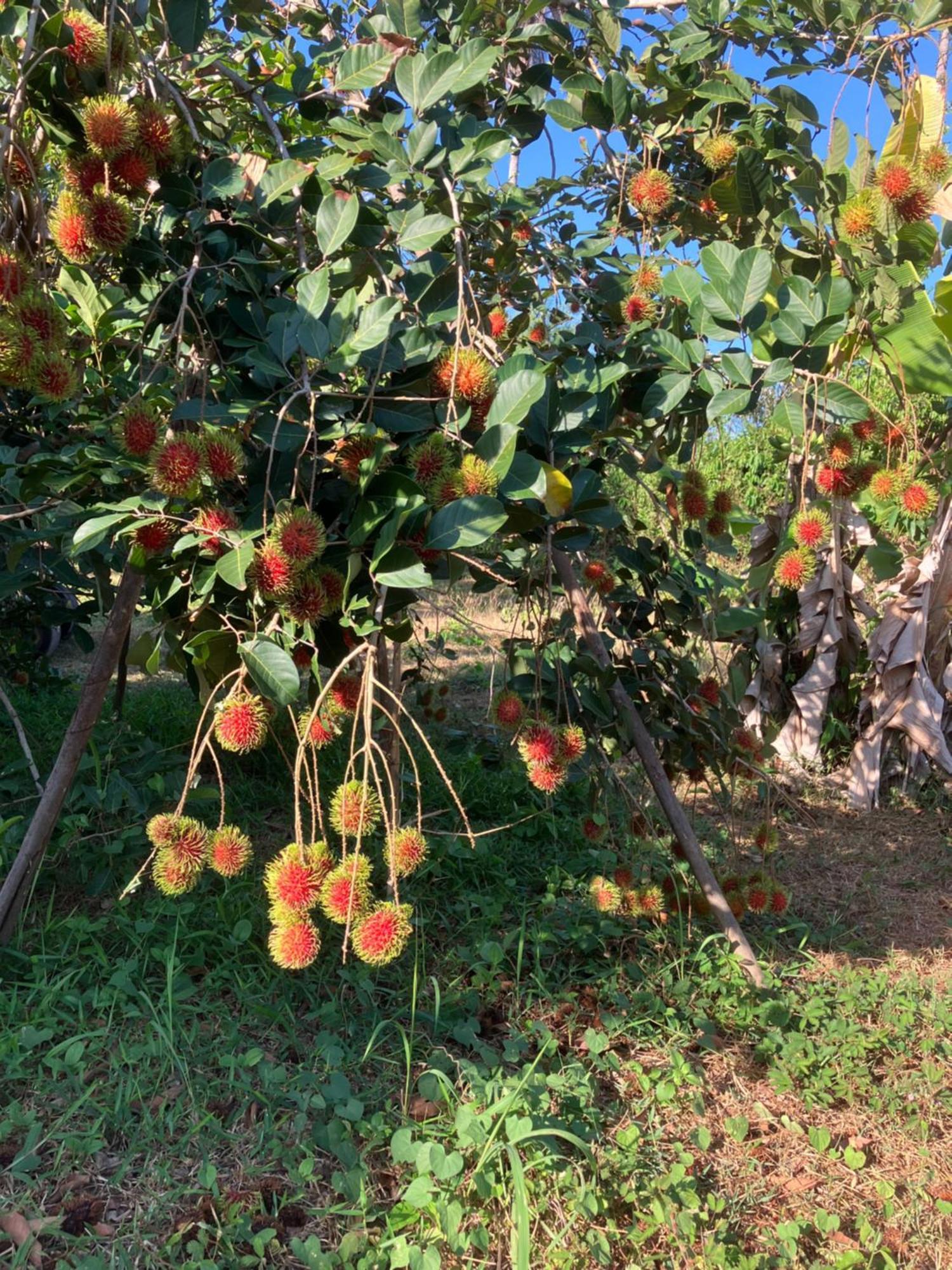 Naivacha Tent 麦岛 外观 照片